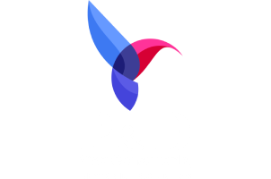 P&D Visa Consultant